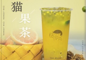 加拿大28：熊猫果茶